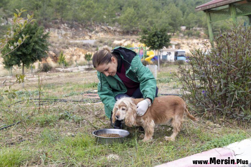 Akdeniz