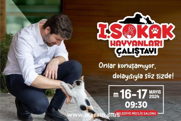 16-17 Mayıs Tarihlerinde I. Sokak Hayvanları Çalıştayı Düzenlenecek