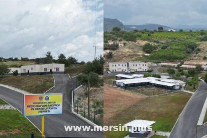 Yenişehir Belediyesi (Barınak) Geçici Hayvan Bakımevi Ve Rehabilitasyon Merkezi (Üniversite)