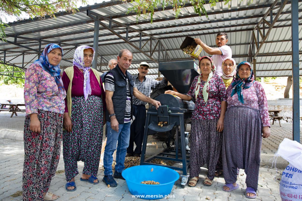 Büyükşehir Belediyesi'Nin Badem Soyma Makinesi Desteği Sayesinde Hasat Dönemi Artık Çile Olmaktan Çıktı.