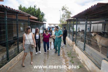 Kadın Dernekleri’nden Kaşlı Geçici Bakımevi’ne Tam Not