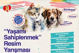 Türkiye’nin En Kapsamlı Hayvan Festivali 5. Patifest 6 Ekim’de Yapılacak