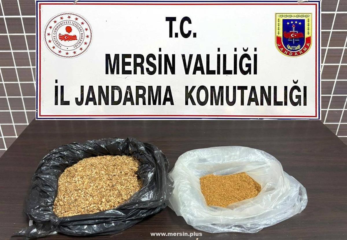 Jandarmadan Uyuşturucu Madde Operasyonu