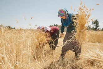 Toplumların Kalkınmasını Sağlayan Kahramanlar: Kadın Çiftçiler