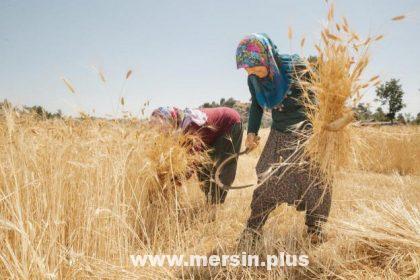 Toplumların Kalkınmasını Sağlayan Kahramanlar: Kadın Çiftçiler