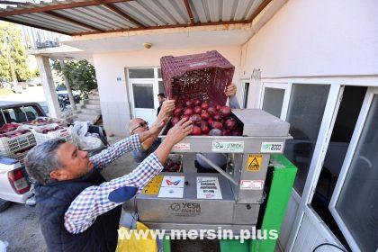 Büyükşehir'De Bir İlk: Nar Tanelerini Ayıran Makine