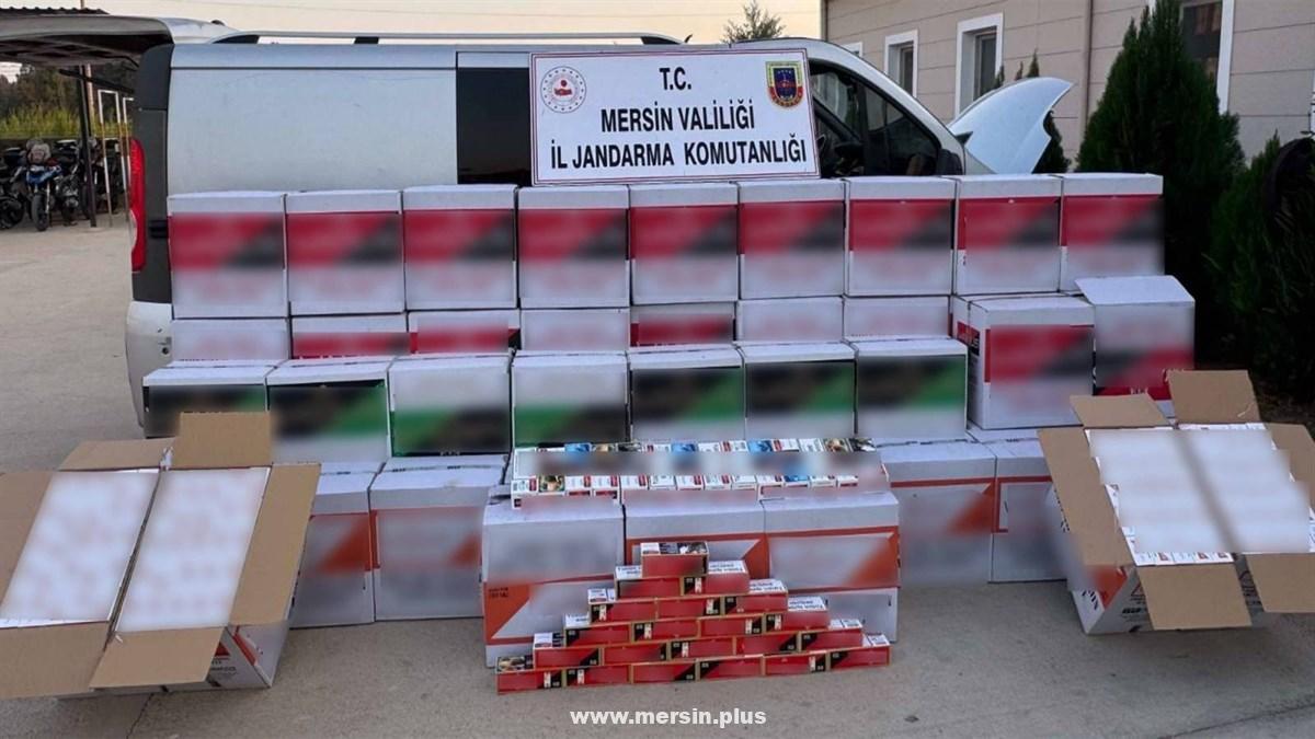 Jandarma, Kaçak Makaron Operasyonu Düzenlendi