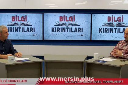 Su Ürünleri Fakültesi Öğretim Üyemiz Prof. Dr. Hüseyin Özbilgin, Balıkçılık Ve Sürdürülebilirlik Üzerine Önemli Bilgiler Paylaştı