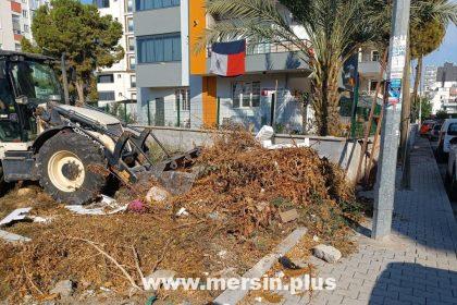 Yenişehir Belediyesi, Periyodik Olarak Budama Ve Moloz Atıkları Toplama Hizmeti Sunuyor