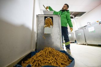 İsraf Edilen Yiyecekler, Sokak Hayvanlarına Mama Olarak Değerlendiriliyor