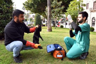 Patili Dostlarımız, Büyükşehir'In Sayesinde Güvende Ve Sağlıklı