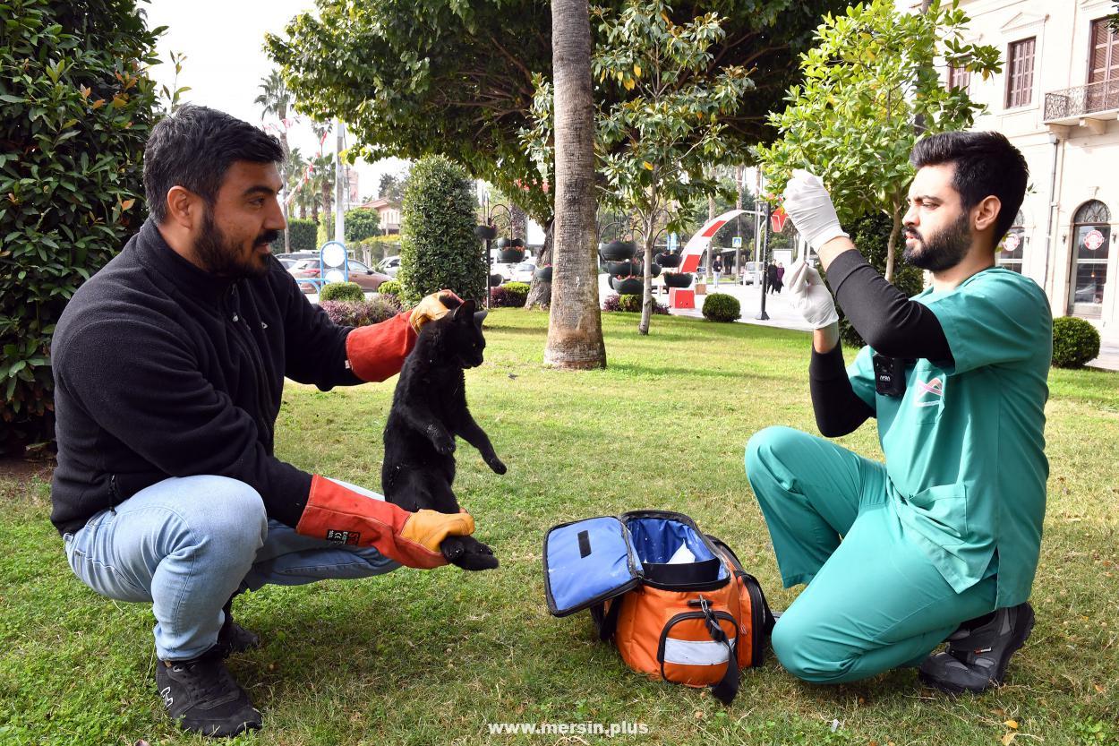 Patili Dostlarımız, Büyükşehir'In Sayesinde Güvende Ve Sağlıklı